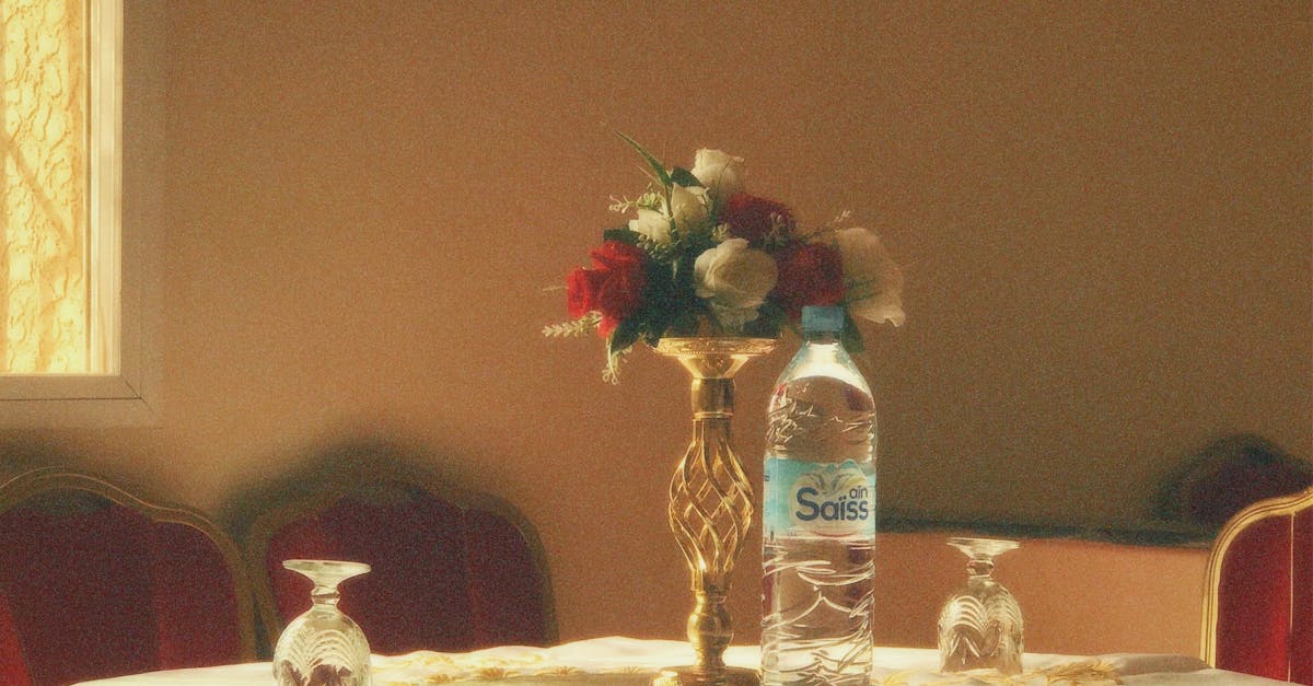 A Culinary Journey Through Gold Coast's Japanese Cuisine