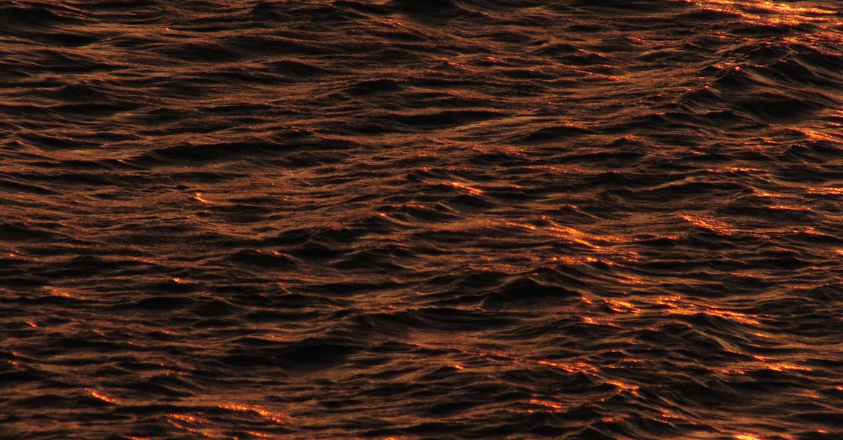 Comprehensive Ratings of Gold Coast's Top Fine Dining Establishments