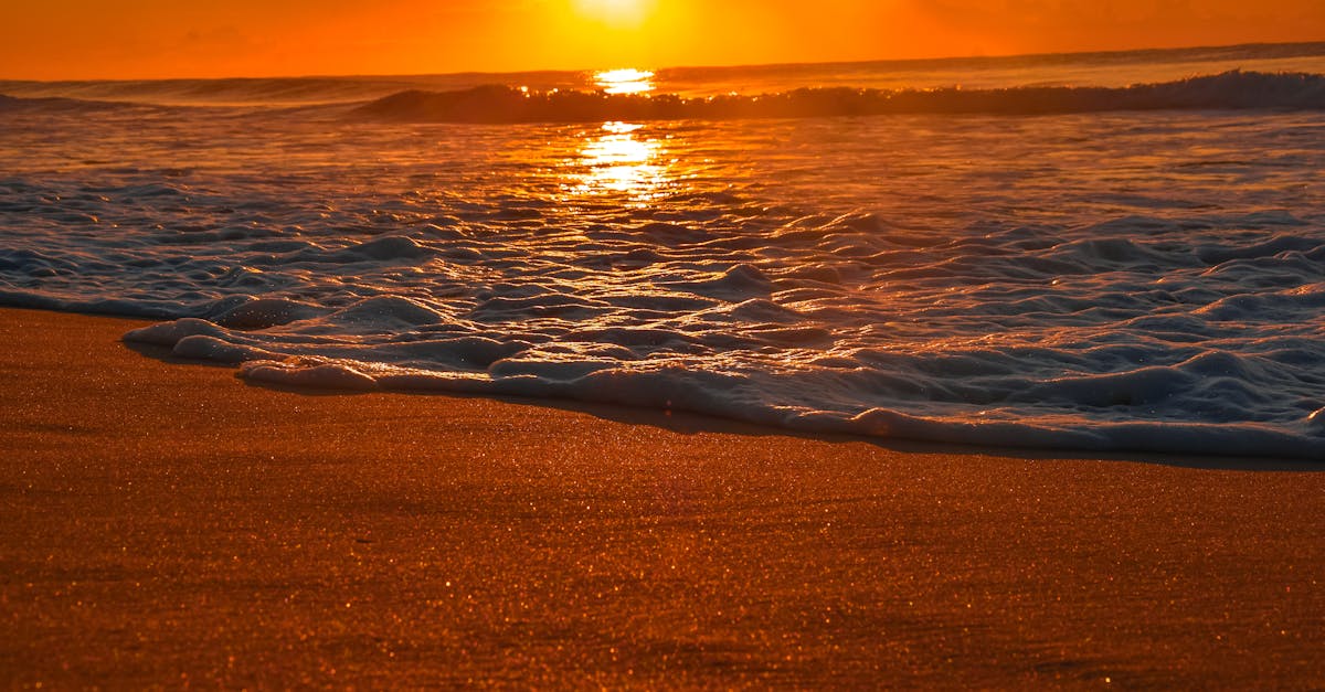 Customer Journeys: From Reservations to Dessert