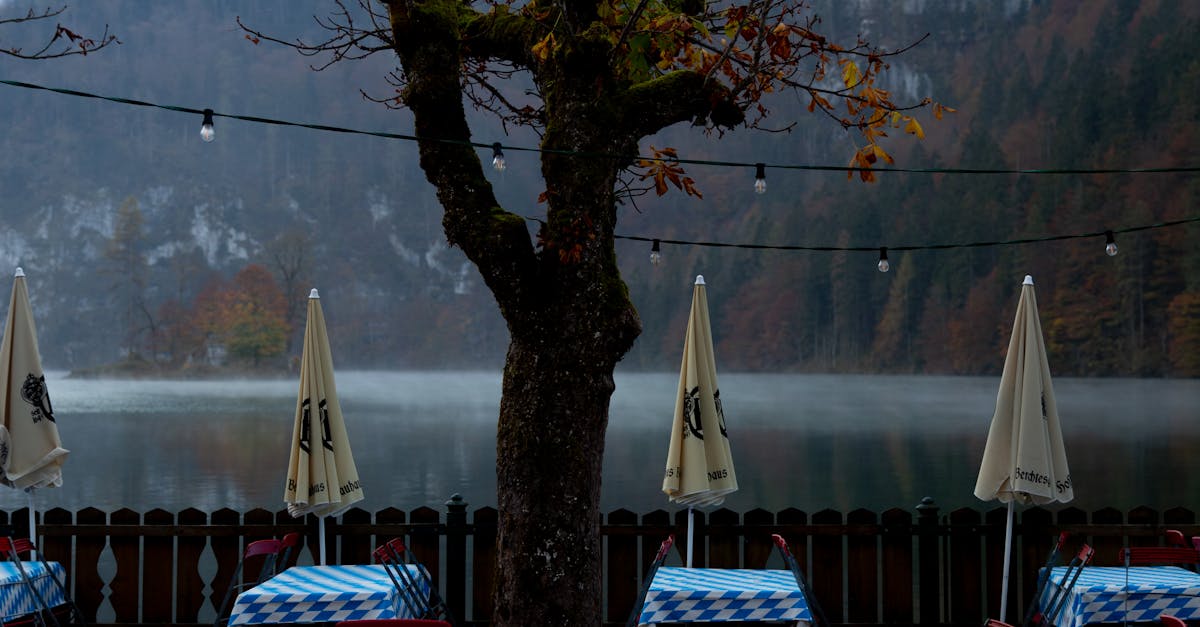 Eating Out on a Budget: Gold Coast's Economical Dining Options