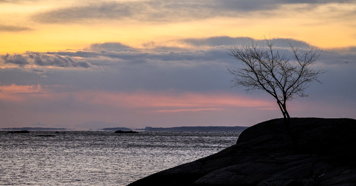 Evaluating Casual Dining Options: Overall Ratings for Family-Friendly Restaurants