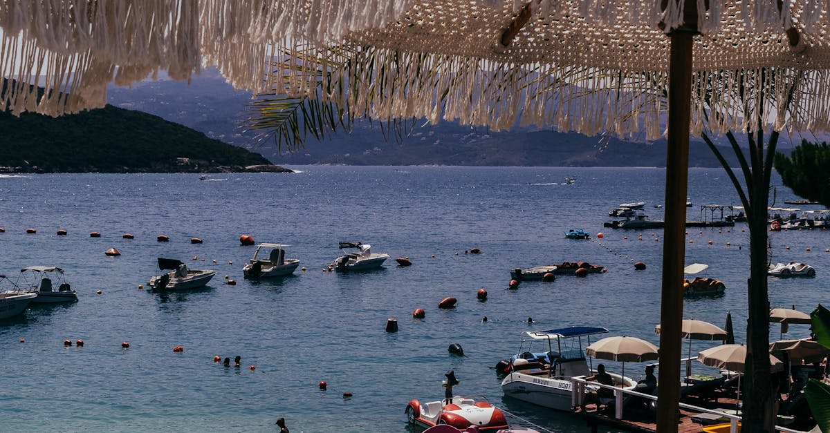 Evaluating the Warmth of Service in Gold Coast Dining Establishments