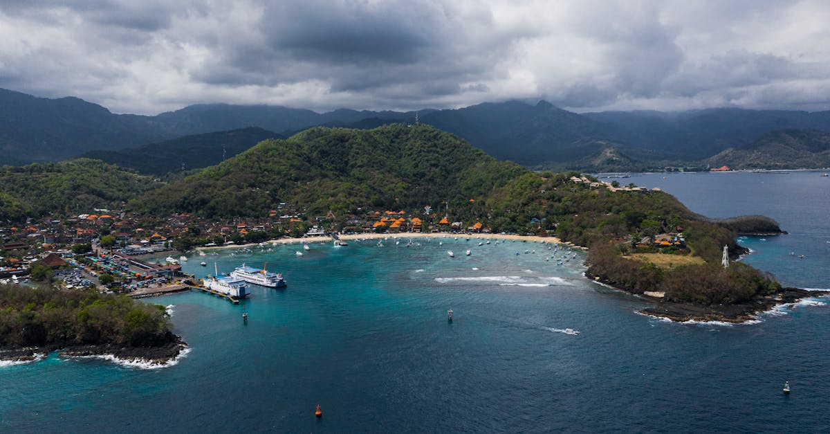 Food Truck Excellence: Overall Ratings for Street Food on the Gold Coast
