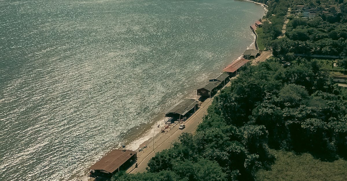 Fusion Delights: Asian-Inspired Dishes at Gold Coast Restaurants