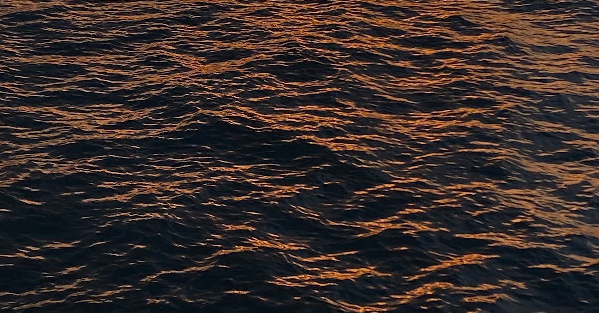 How to Enjoy Haute Cuisine Without Breaking the Bank on the Gold Coast