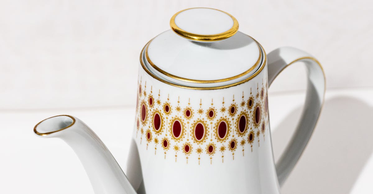 Pet-Friendly Cafés: Bringing Your Furry Friends on the Gold Coast