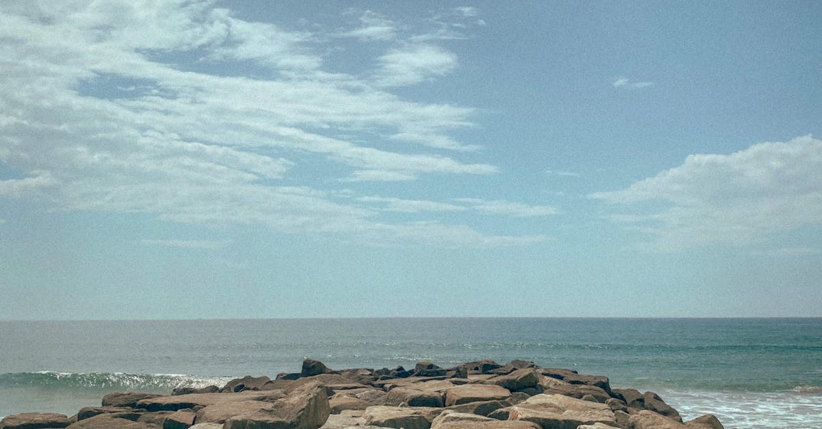 The Benefits of Choosing Vegetarian at Gold Coast Restaurants