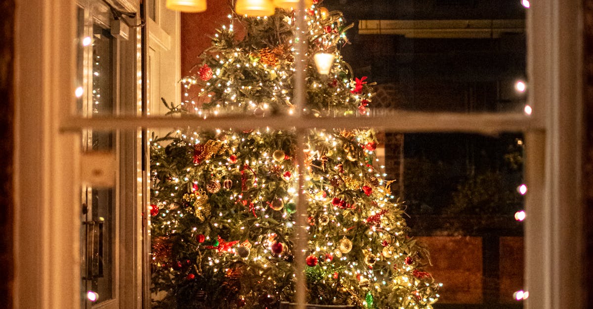 The Best Value Meals at Gold Coast Fine Dining Establishments