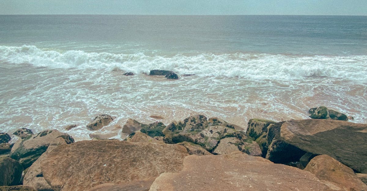 The Evolution of Modern Australian Cuisine on the Gold Coast