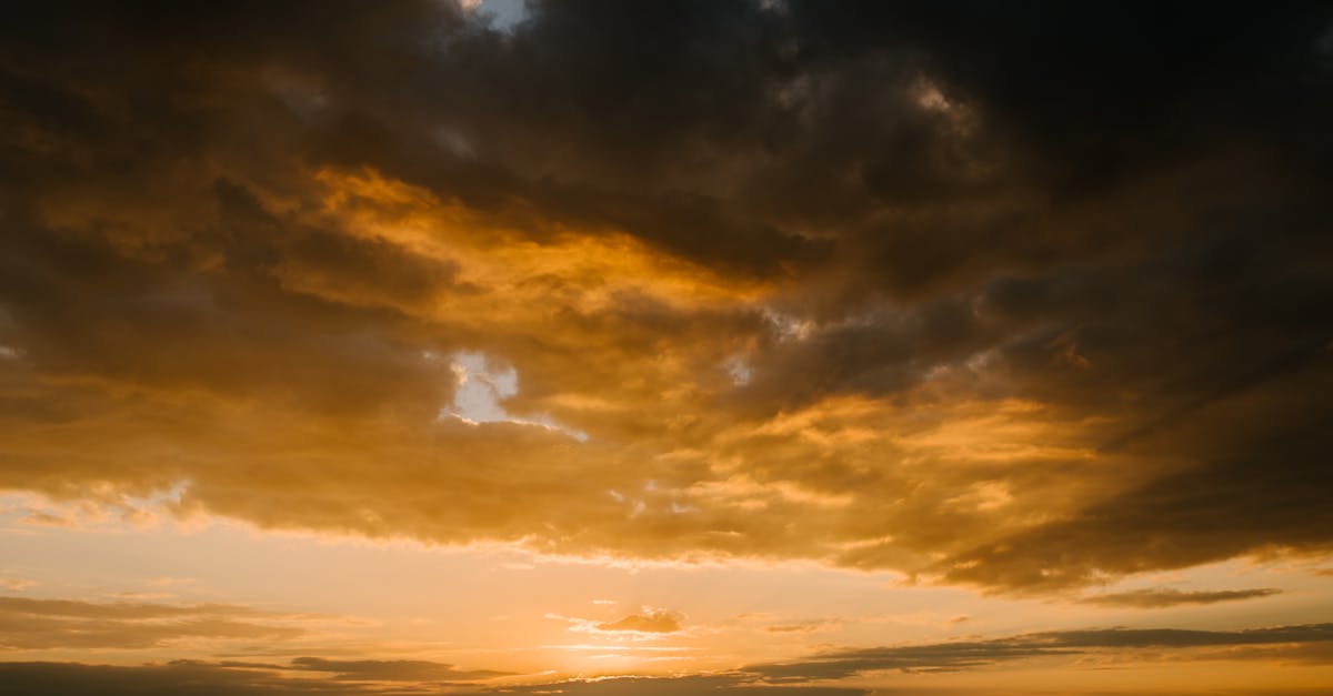 The Roles of Staff Attitude and Demeanour in Gold Coast Restaurant Reviews